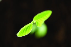 企业运营产品差异化策略选购指南